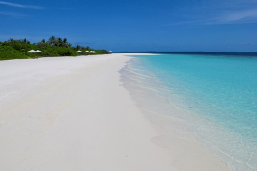 e0338303_1356740.jpg
