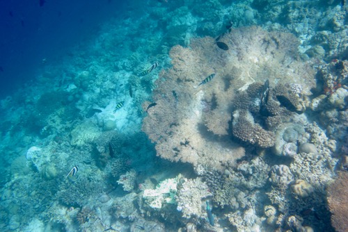 e0338303_8344725.jpg
