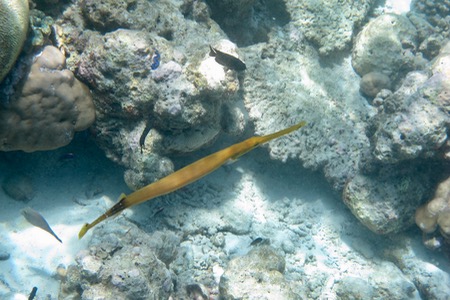 e0338303_8352116.jpg