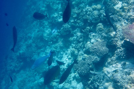 e0338303_835624.jpg