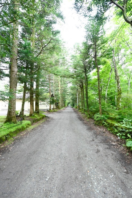 f0349904_11345896.jpg