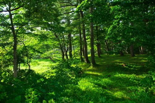 a0263109_09211467.jpg