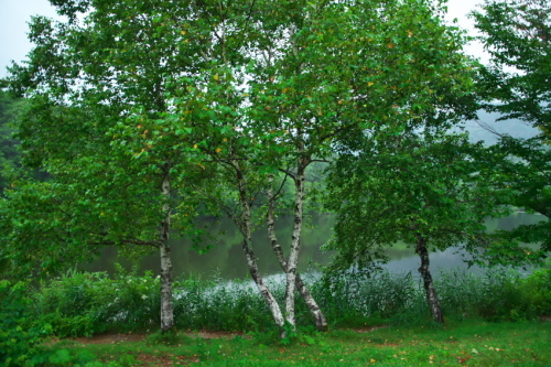 a0263109_09285766.jpg