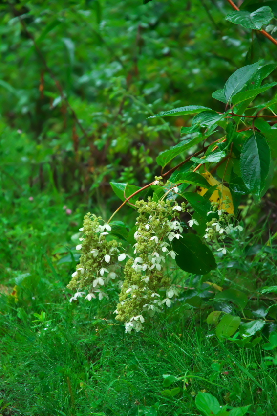 a0263109_09320123.jpg
