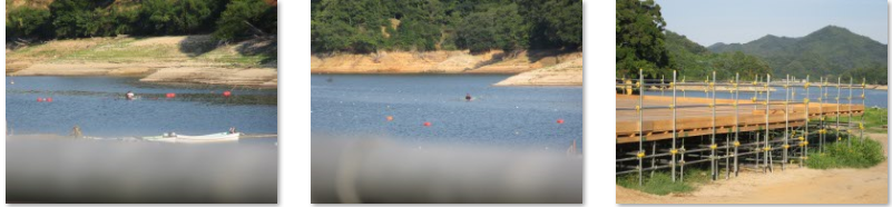 f0231709_09461687.png