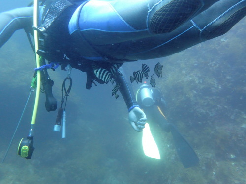 d0070216_15501357.jpg