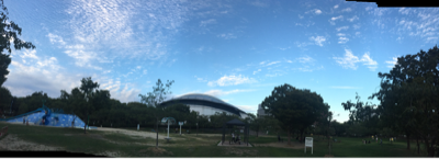 a0098418_17260185.png