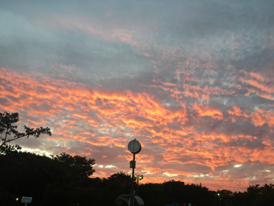 a0098418_17323460.png