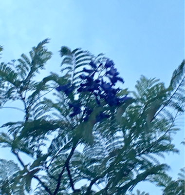 a0098418_20240065.png