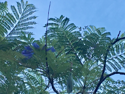 a0098418_20240271.png
