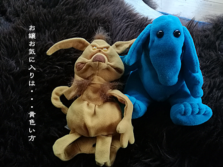 d0042827_16424149.jpg