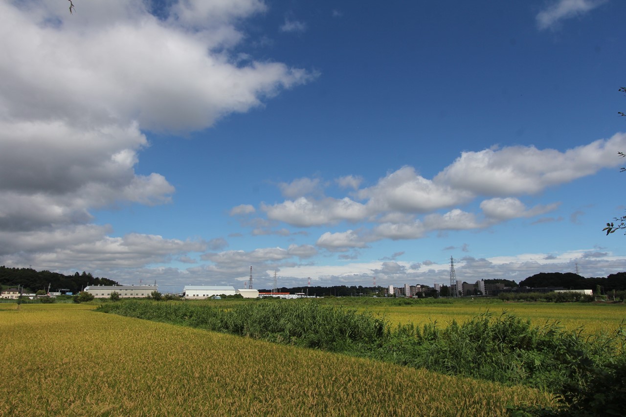 f0225627_21373831.jpg