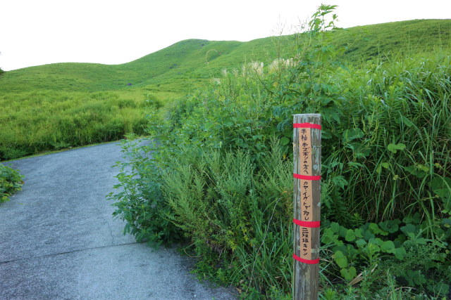 e0272335_1813284.jpg