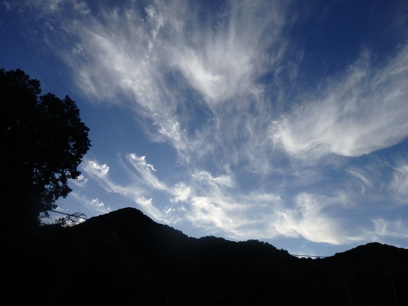 a0054240_2039084.jpg