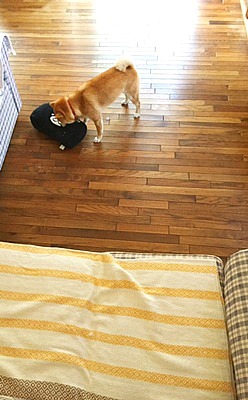 e0102141_1231580.jpg