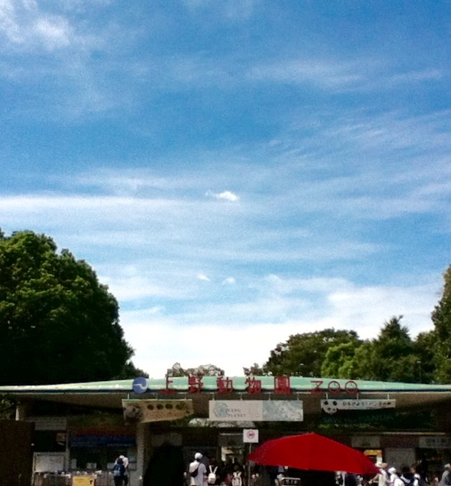 f0130642_00131148.jpeg