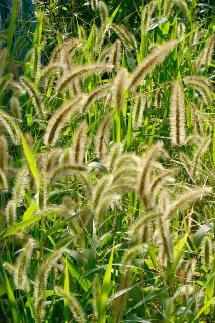 a0248459_05283918.jpg