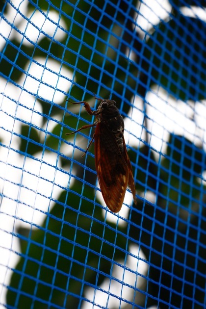 a0248459_15075930.jpg