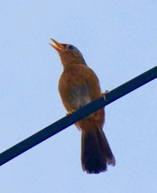 a0248459_15121983.jpg