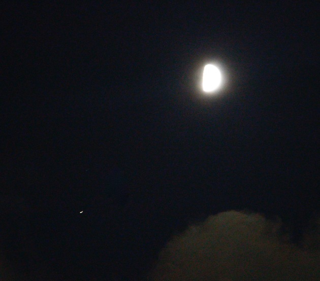 a0248459_15133865.jpg