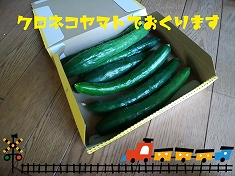 a0331562_17462627.jpg