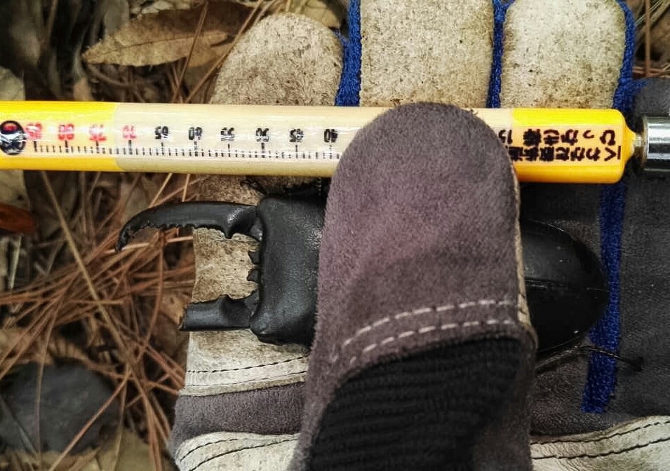 f0183484_21010091.jpg