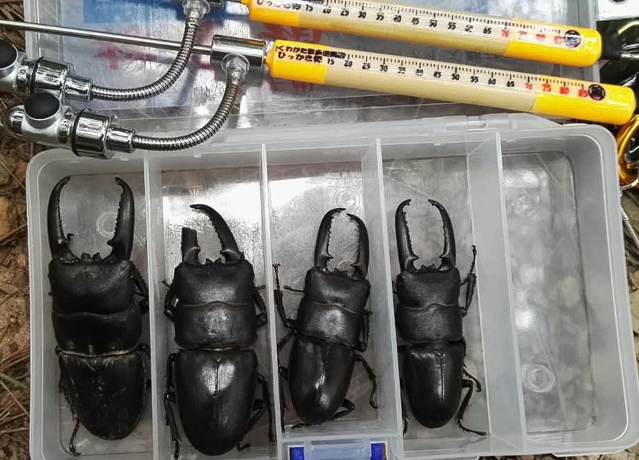 f0183484_21010322.jpg