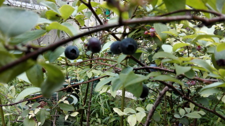 b0091187_23265530.jpg