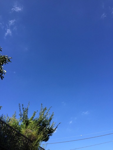 f0130894_23521718.jpg