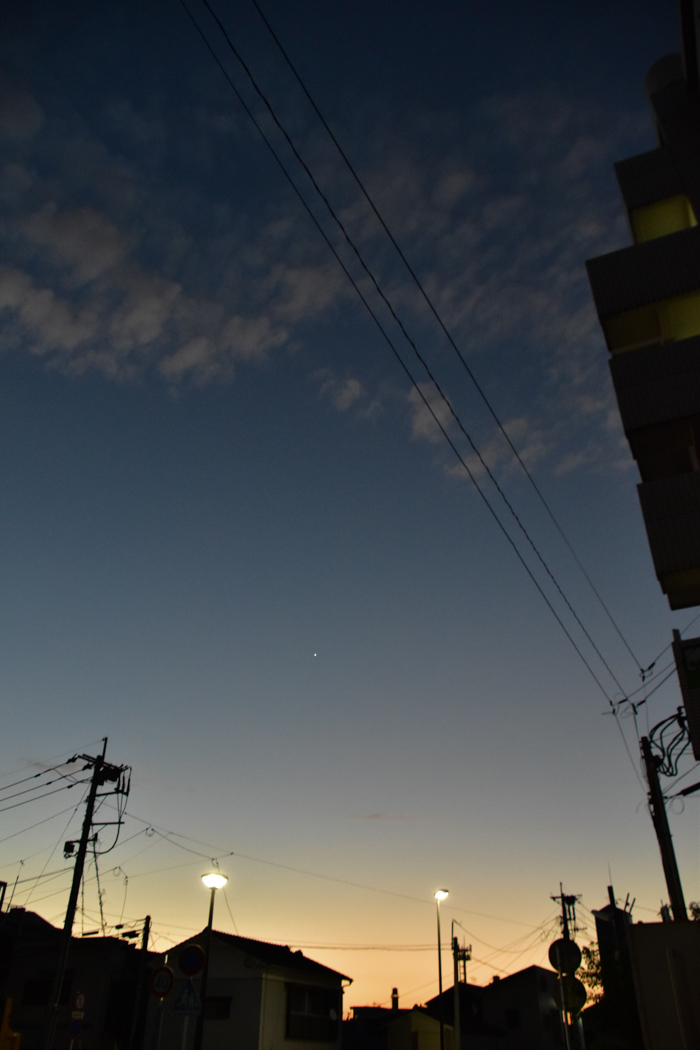 c0049299_22274308.jpg