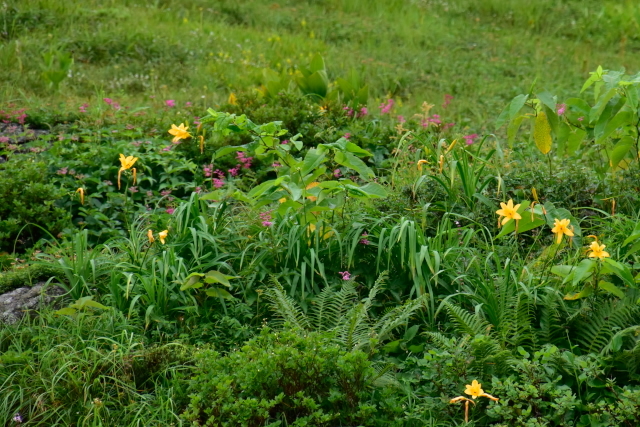 d0363399_08533480.jpg