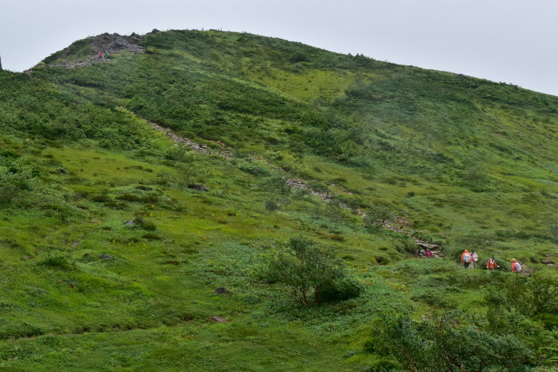 d0363399_08551294.jpg