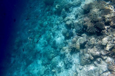 e0338303_8384261.jpg