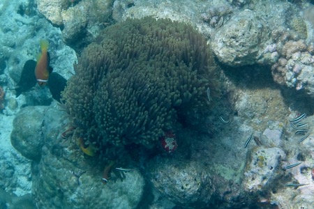 e0338303_838510.jpg