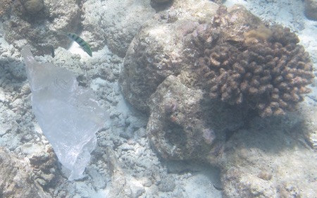 e0338303_838566.jpg