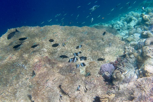 e0338303_8391068.jpg