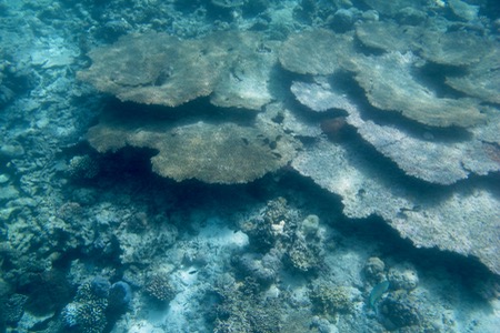 e0338303_848358.jpg