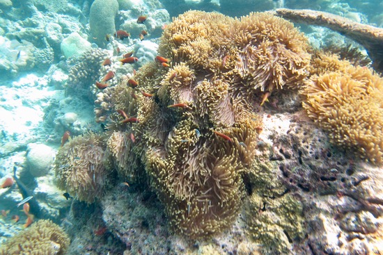 e0338303_848525.jpg