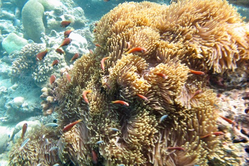 e0338303_8491783.jpg