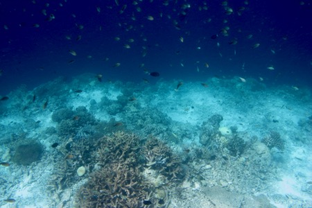e0338303_8493044.jpg