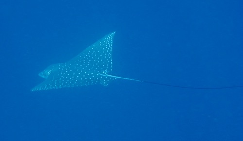 e0338303_8493762.jpg