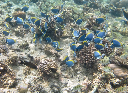 e0338303_8501241.jpg