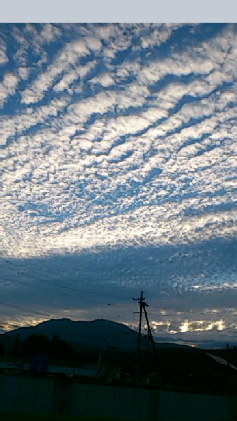 b0028109_23413570.jpg