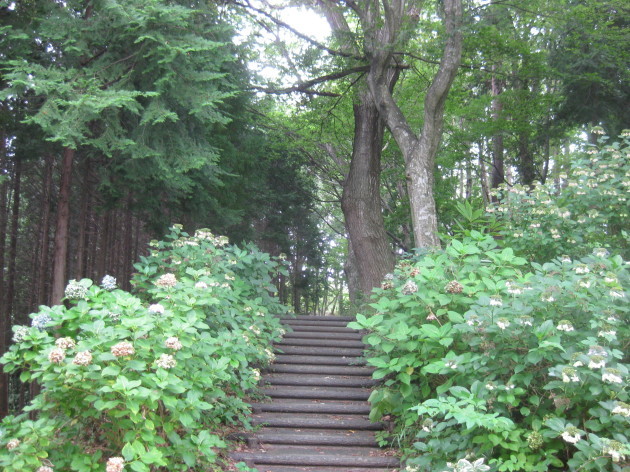 b0183111_09570649.jpg