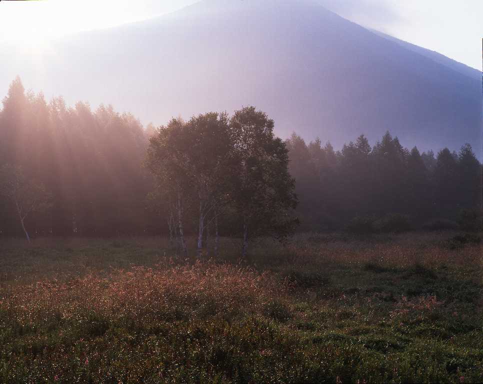 d0333714_17090642.jpg