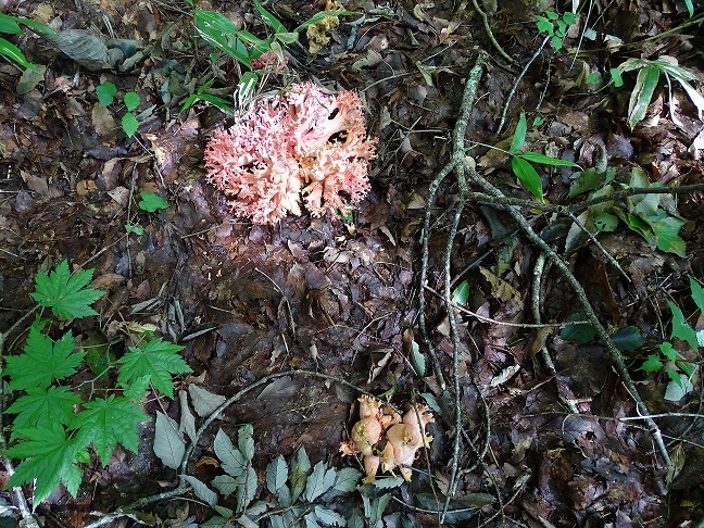 f0360815_14051577.jpg