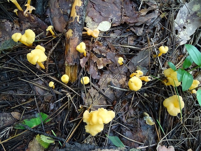 f0360815_14051616.jpg