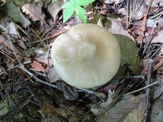 f0360815_14051752.jpg