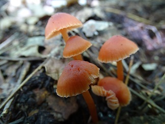 f0360815_14051782.jpg