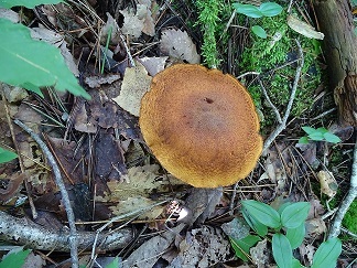 f0360815_14051805.jpg